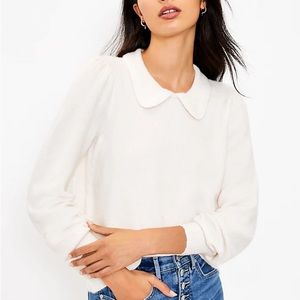 Loft Collard Sweater size SP